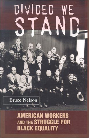 Cover for Bruce Nelson · Divided We Stand: American Workers and the Struggle for Black Equality - Politics and Society in Modern America (Pocketbok) [New Ed edition] (2002)