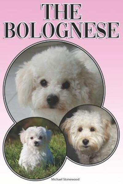 The Bolognese - Michael Stonewood - Books - Independently Published - 9781091249349 - March 22, 2019