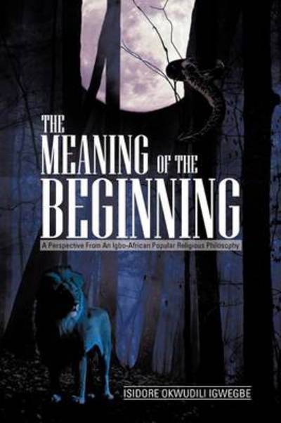 Cover for Isidore Okwudili Igwegbe · The Meaning of the Beginning: a Perspective from an Igbo-african Popular Religious Philosophy (Paperback Book) (2012)