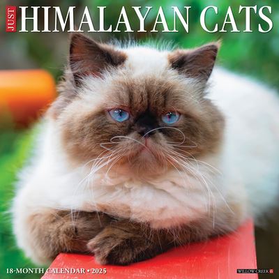 Just Himalayan Cats 2025 12 X 12 Wall Calendar - Willow Creek Press - Merchandise - Willow Creek Press Calendars - 9781549243349 - September 10, 2024