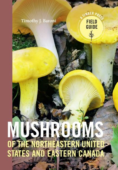 Mushrooms of the Northeastern United States and Eastern Canada - Timothy J. Baroni - Książki - Timber Press - 9781604696349 - 12 lipca 2017