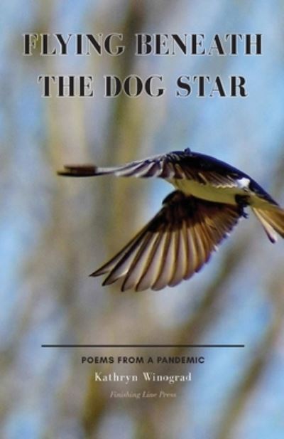 Cover for Kathryn Winograd · Flying Beneath the Dog Star (Paperback Book) (2022)