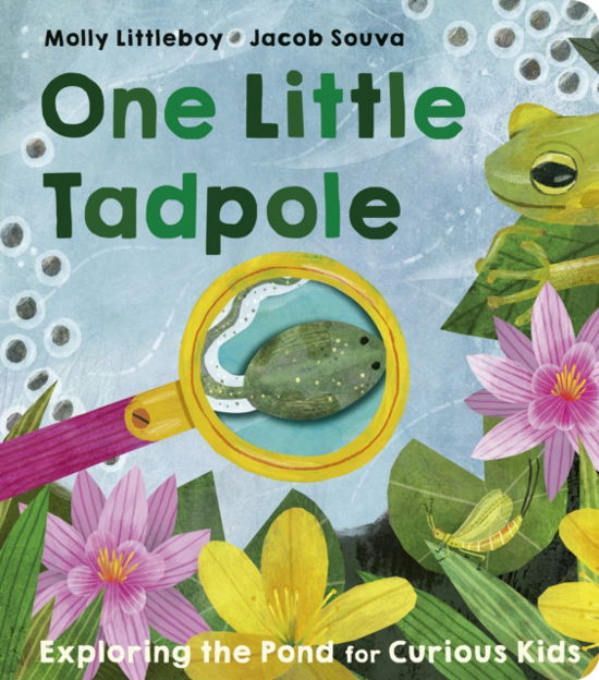 Cover for Molly Littleboy · One Little Tadpole - One Little (Board book) (2024)