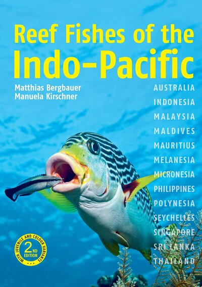 Cover for Dr Matthias Bergbauer · Reef Fishes of the Indo-Pacific (2nd edition) (Paperback Book) [2 Revised edition] (2020)