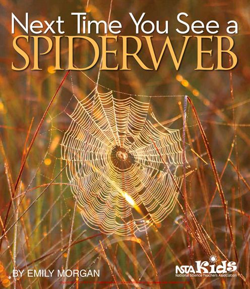 Cover for Emily Morgan · Next Time You See a Spiderweb (Pocketbok) (2016)