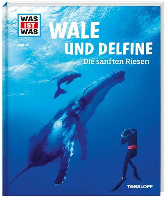 Was ist was.085 Wale und Delfine - Manfred Baur - Livros -  - 9783788620349 - 27 de junho de 2013