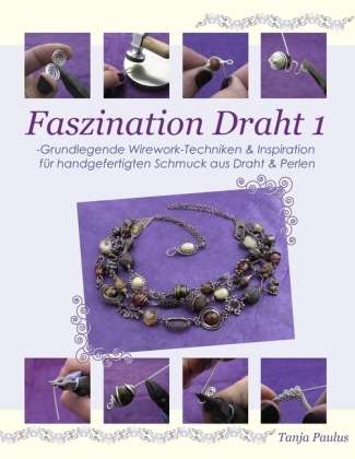 Cover for Paulus · Faszination Draht 1 (Book)