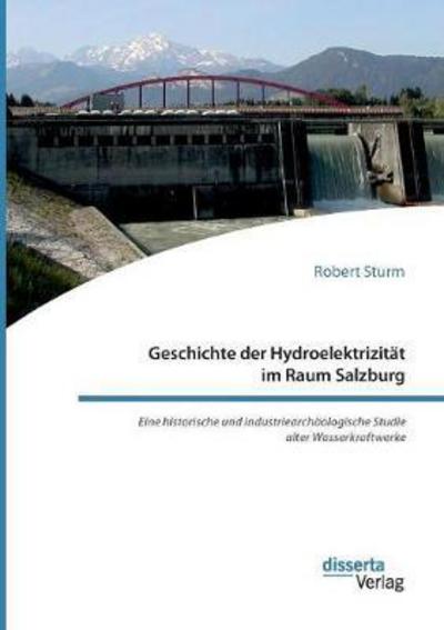 Cover for Sturm · Geschichte der Hydroelektrizität (Buch) (2018)