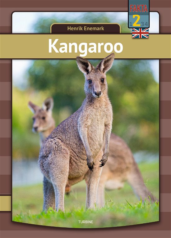 Cover for Henrik Enemark · My first book: Kangaroo (Hardcover bog) [1. udgave] (2021)