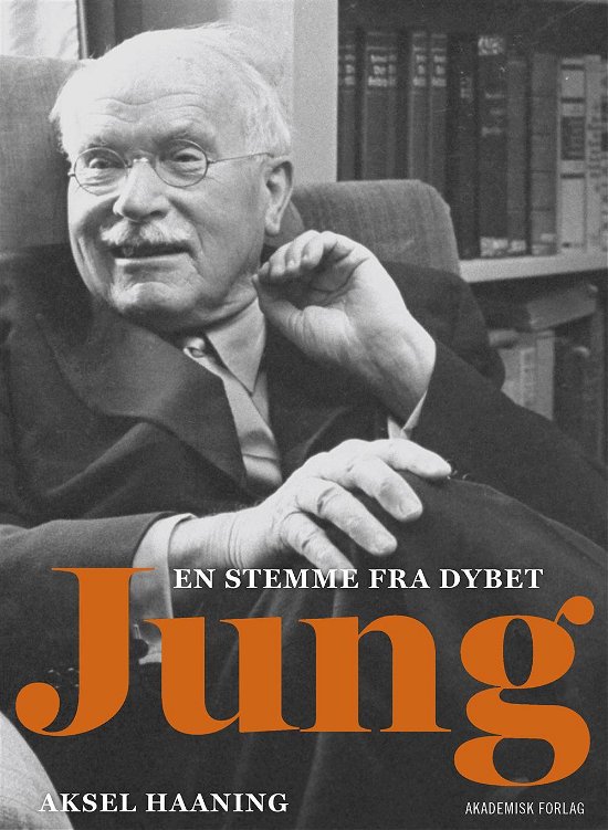Cover for Aksel Haaning · Jung (Hæftet bog) [1. udgave] (2016)