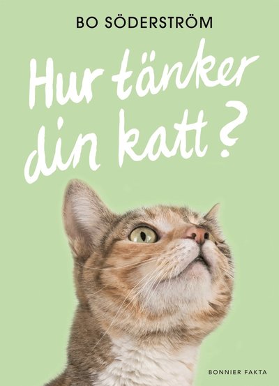 Cover for Bo Söderström · Hur tänker din katt? (Hardcover Book) (2016)