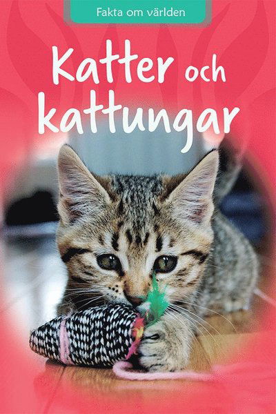 Cover for Sarah Snashall · Fakta om världen: Katter och kattungar (Bound Book) (2021)