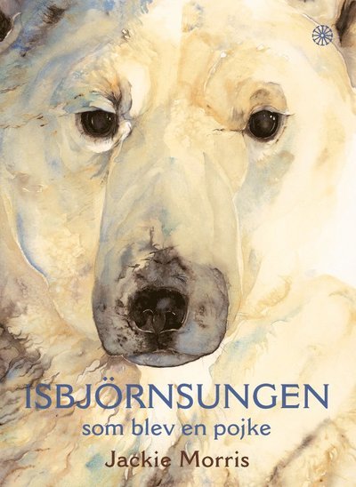 Cover for Jackie Morris · Isbjörnsungen som blev en pojke (Innbunden bok) (2013)
