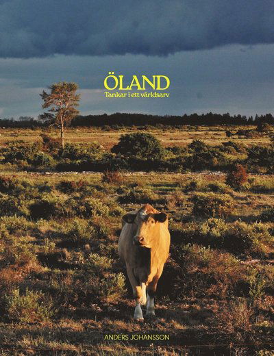 Cover for Anders Johansson · Öland, tankar i ett världsarv (Gebundenes Buch) (2025)