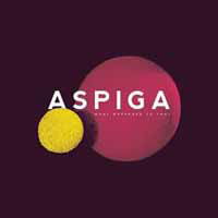 Cover for Aspiga · What Happened to You (CD) (2015)