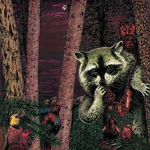 Cover for Wild Raccoon · Half Pine Cone (LP) (2016)