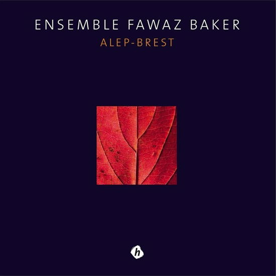 Cover for Ensemble Fawaz Baker · Alep-Brest (LP) (2019)