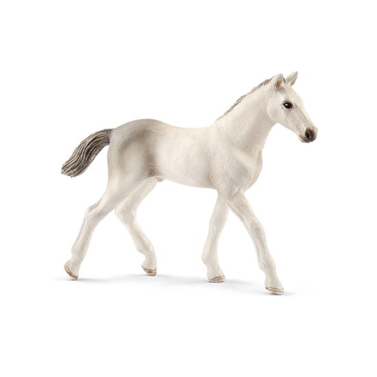 Schleich Holstein Veulen - Schleich - Merchandise - Schleich - 4055744021350 - 