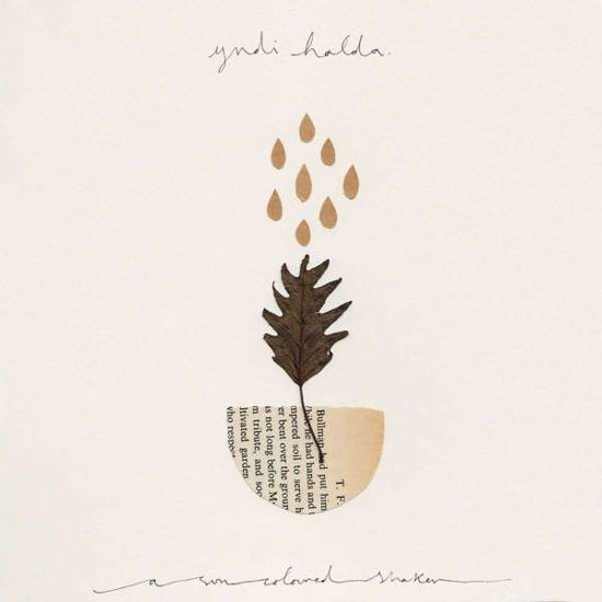 Cover for Yndi Halda · A Sun Coloured Shaker (LP) (2018)