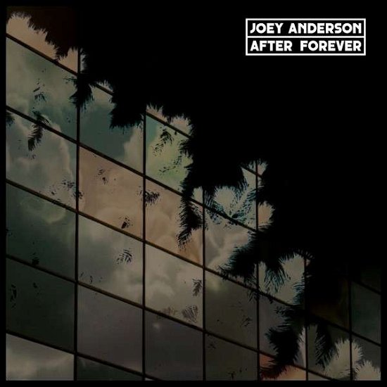 Cover for Joey Anderson · After Forever (LP) (2014)
