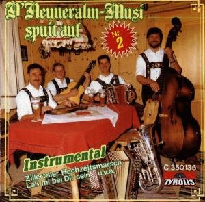 Spuit Auf / Nr. 2 (Instrumental) - Neuneralm Musi - Musik - TYROLIS - 9003549501350 - 31. december 1994