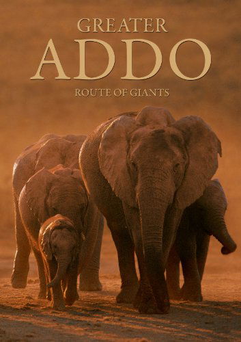 Cover for Heinrich Van Den Berg · Greater Addo: Route of Giants (Paperback Book) (2011)