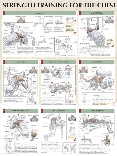 Cover for Frederic Delavier · Strength Training for the Chest (Poster) (2005)
