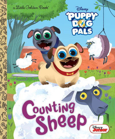 Cover for Judy Katschke · Counting Sheep (Hardcover Book) (2019)