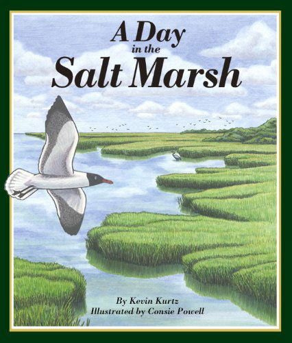 Cover for Kevin Kurtz · A Day in the Salt Marsh (Hardcover Book) (2007)