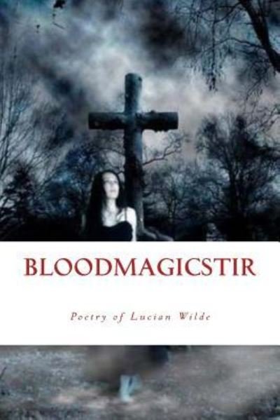 Cover for Lucian Wilde · Blood Magic Stir (Paperback Book) (2012)