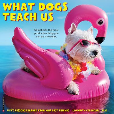 Willow Creek Press · What Dogs Teach Us 2025 12 X 12 Wall Calendar (Calendar) (2024)