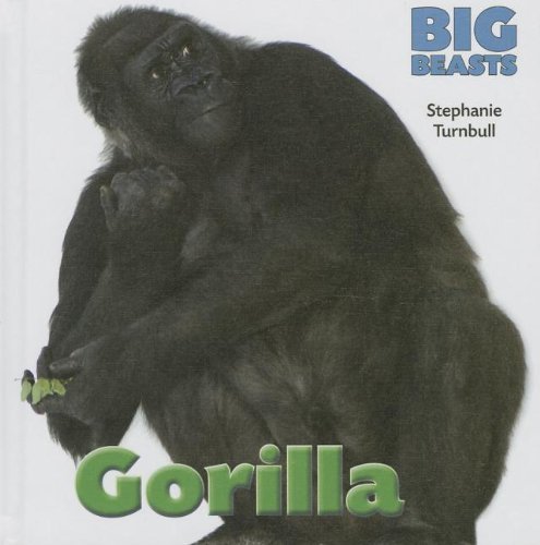 Cover for Stephanie Turnbull · Gorilla (Big Beasts) (Hardcover Book) (2013)
