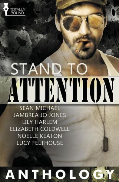 Stand to Attention - Lucy Felthouse - Books - Totally Bound Publishing - 9781781847350 - February 21, 2014