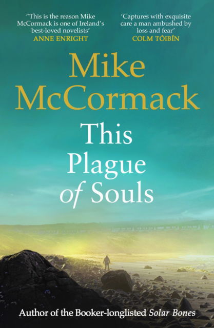 Cover for Mike McCormack · This Plague of Souls (Paperback Book) [Main edition] (2024)