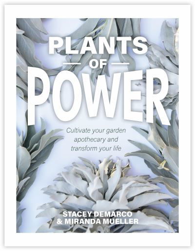 Cover for Stacey Demarco · Plants of Power: Cultivate your garden apothecary and transform your life (Innbunden bok) (2021)