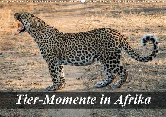 Tier-Momente in Afrika (Wandkal - Janssen - Książki -  - 9783670655350 - 