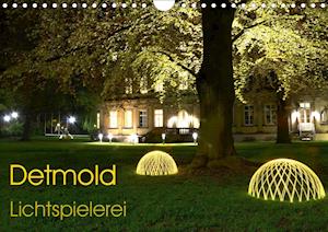 Cover for Witzel · Detmold Lichtspielerei (Wandkale (Book)