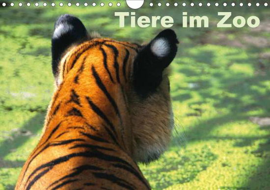 Cover for Kügler · Tiere im Zoo (Wandkalender 2021 (Book)