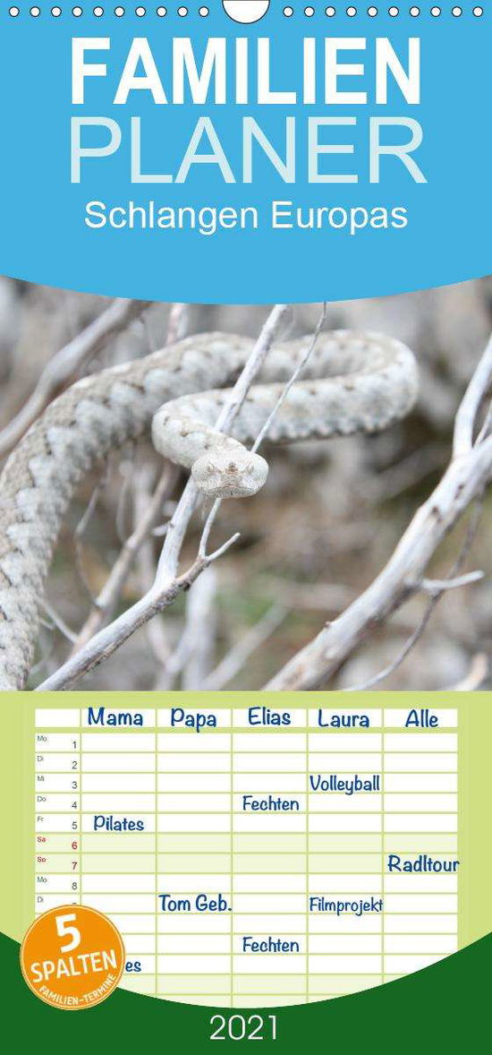 Cover for Wilms · Schlangen Europas - Familienplane (Book)