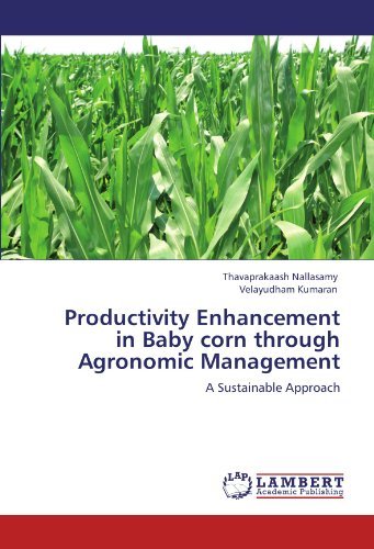 Cover for Velayudham Kumaran · Productivity Enhancement in Baby Corn Through Agronomic Management: a Sustainable Approach (Pocketbok) (2012)