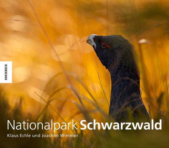 Cover for Echle · Nationalpark Schwarzwald (Bog)