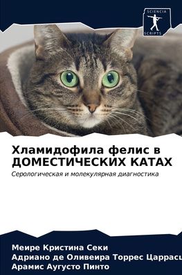 Cover for ????? ???????? ???? · ??????????? ????? ? ????????????? ????? (Paperback Book) (2021)