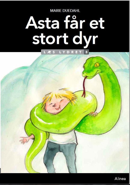 Cover for Marie Duedahl · Læs lydret: Asta får et stort dyr, Læs lydret 3 (Indbundet Bog) [1. udgave] (2020)