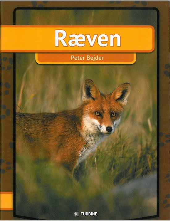 Cover for Peter Bejder · Min første bog: Ræven (Paperback Book) [1.º edición] [Paperback] (2014)