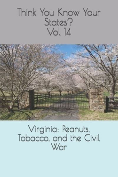 Cover for Chelsea Falin · Virginia (Paperback Bog) (2020)