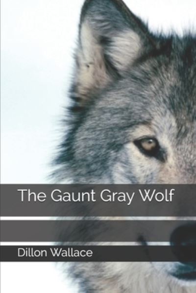 The Gaunt Gray Wolf - Dillon Wallace - Books - Independently Published - 9798672394350 - November 1, 2020