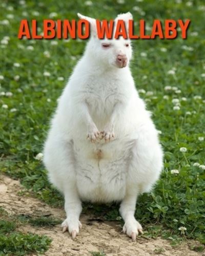 Cover for Kayla Miller · Albino Wallaby (Pocketbok) (2020)