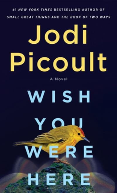 Cover for Jodi Picoult · Wish You Were Here (Buch) (2022)
