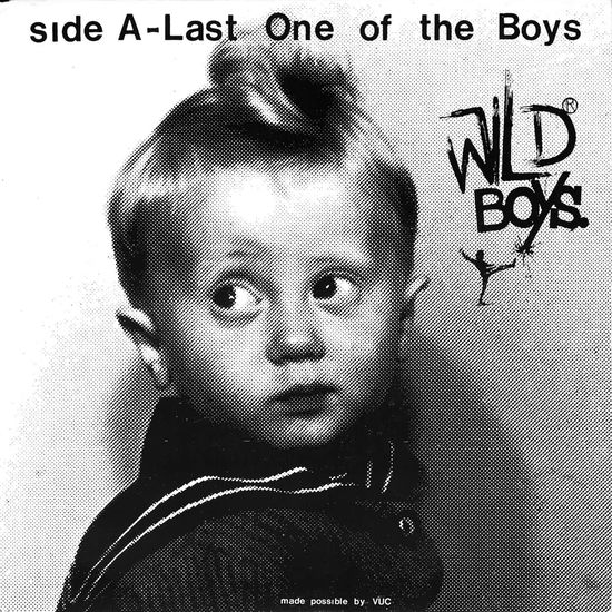 Last One Of The Boys - Wild Boys - Muziek - REMINDER RECORDS LLC - 0196626577351 - 21 oktober 2022