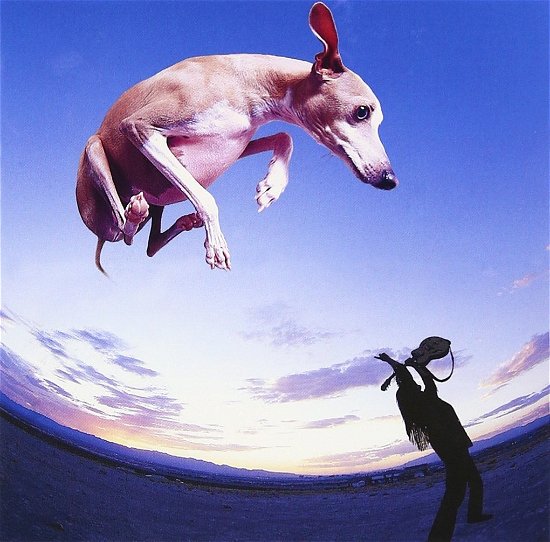 Flying Dog - Paul Gilbert - Musikk - WHD - 4582213914351 - 21. juli 2010